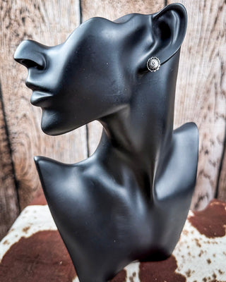Sky and Stone Stud Fashion Earring Set – Jewelry from Bronco Western Supply Co.