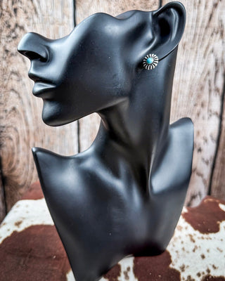 Sky and Stone Stud Fashion Earring Set – Jewelry from Bronco Western Supply Co.