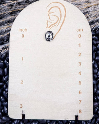 Sky and Stone Stud Fashion Earring Set - Jewelry - Blue Tortoise - Bronco Western Supply Co.