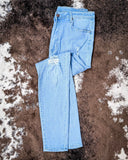 Skyline High Waisted Skinny Jeans - Apparel - Denim Zone USA - Bronco Western Supply Co.