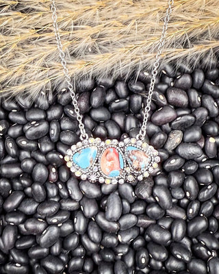 Boho western necklace featuring turquoise and jasper stones on black beans and wheatgrass background