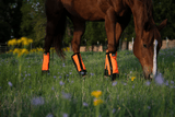 Warrior Fly Boots for Horses - Fly Care - Muvado - Bronco Western Supply Co.