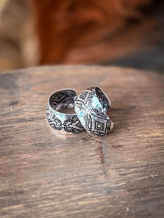 Wild Mesa Fashion Hoop Earrings – Jewelry from Bronco Western Supply Co.