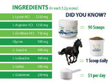 Equinety Horse XL Supplement Supplements Equinety Bronco Western Supply Co. 