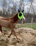 Lycra Fly Mask - Guardian Fly Protection Fly Care Reinsman Bronco Western Supply Co. 