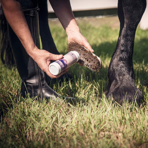 Equiderma Daily Defense Horse Dry Shampoo Grooming Equiderma Bronco Western Supply Co. 