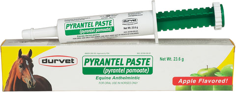 Pyrantel Paste (pyrantel pamoate) Dewormer Durvet Bronco Western Supply Co. 