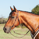 Cashel Harness Browband Headstall Headstalls & Accessories Cashel Company Bronco Western Supply Co. 