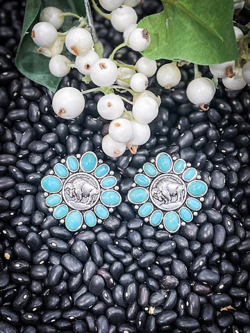 Buffalo Coin Stud Fashion Earrings - Jewelry - Blue Tortoise - Bronco Western Supply Co.